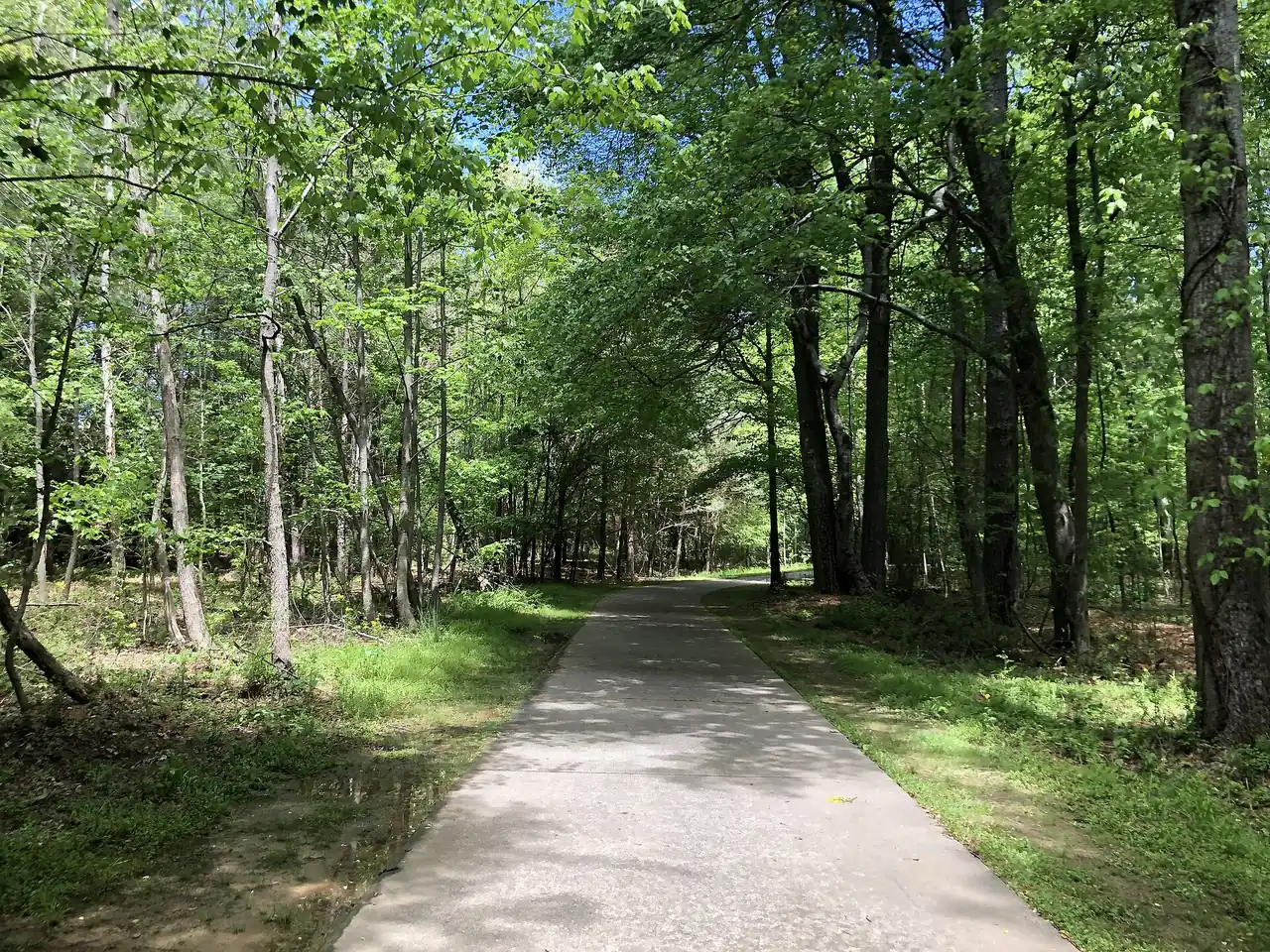 The Big Creek Greenway, the paved trail along Big Creek on the east side of Alpharetta