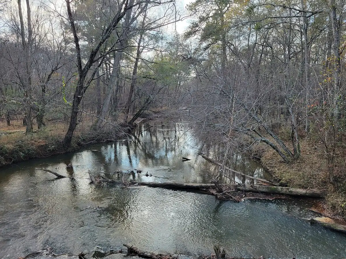 Big Creek seen from the Big Creek Greenway, about half a mile north of the school