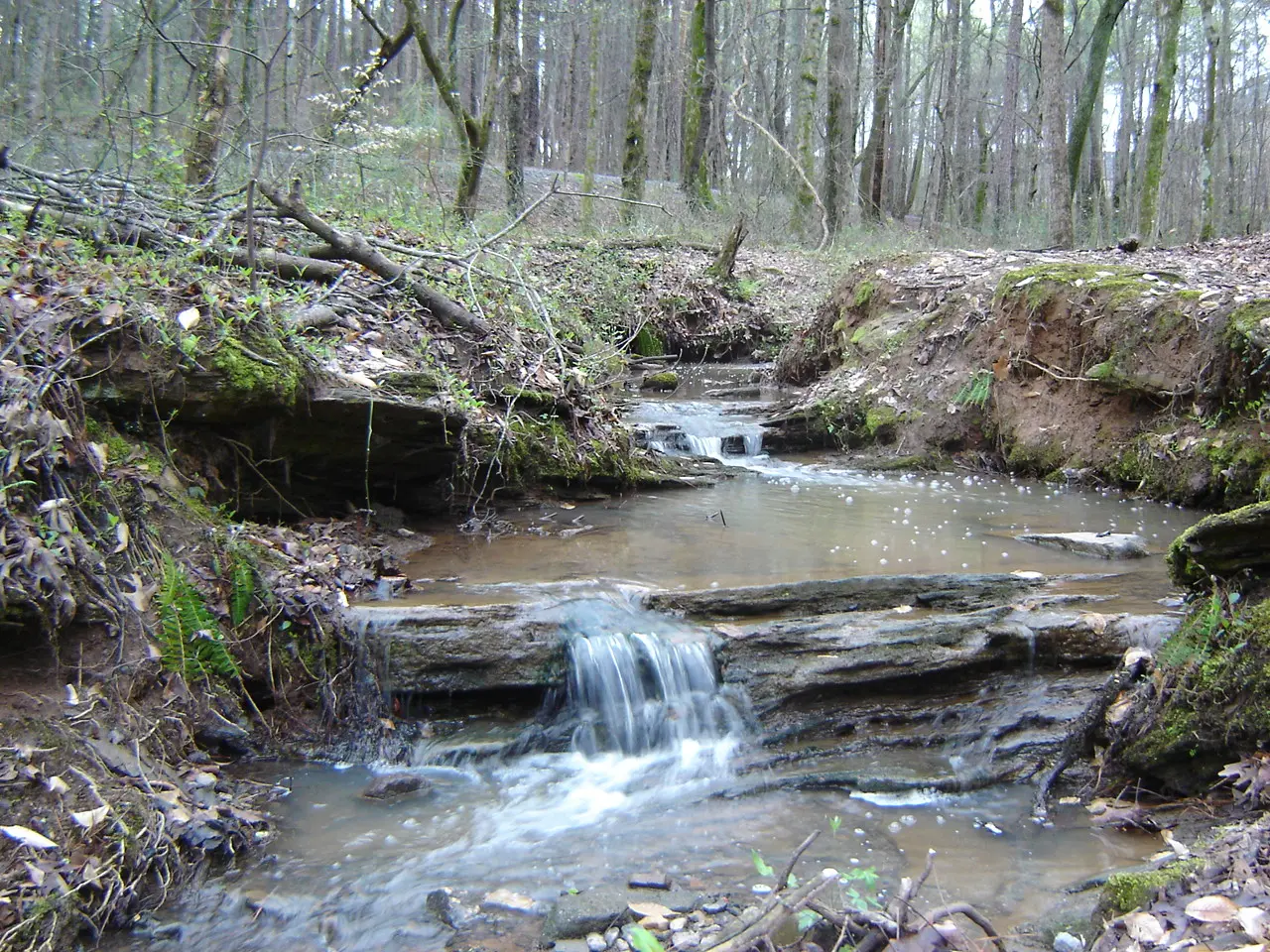 A stream in Webb Bridge Park, the city park farther along Webb Bridge Road from the school